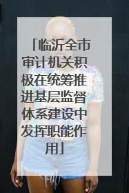 临沂全市审计机关积极在统筹推进基层监督体系建设中发挥职能作用